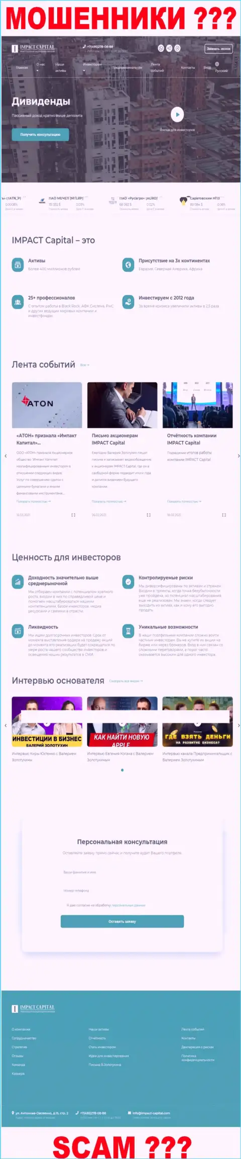 Главная страничка информационного ресурса организации Impact Capital