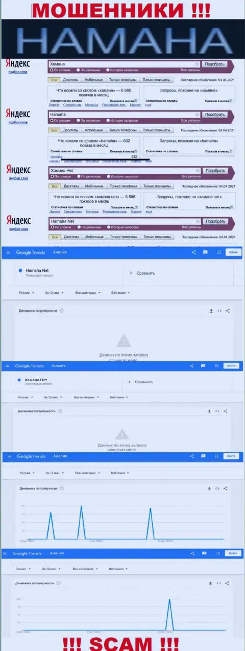 Online запросы по бренду мошенников Хамана в поисковиках интернет сети