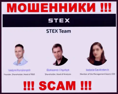 Кто именно управляет Stex неизвестно, на сайте мошенников предложены неправдивые данные