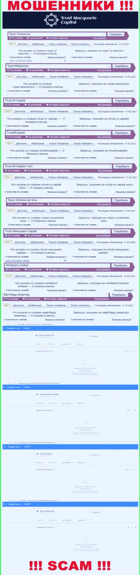 Статистические показатели поиска информации об internet мошенниках Trust Macquarie Capital