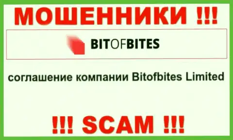 Юридическим лицом, владеющим аферистами Бит Оф Битес, является БитОфБитес Лтд