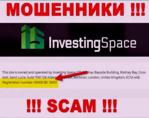 Регистрационный номер преступно действующей конторы Investing Space - 00000 BC 0000