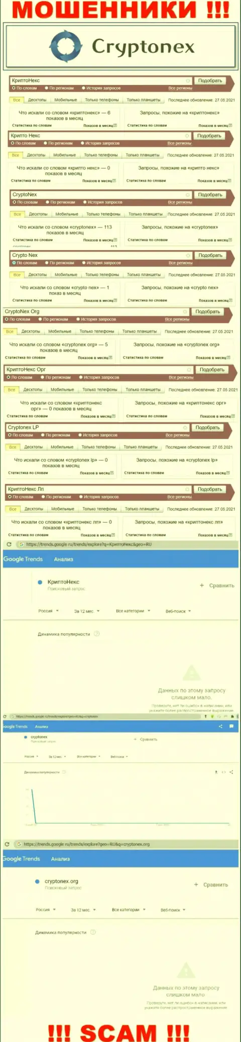 Статистические сведения online запросов по бренду CryptoNex Org