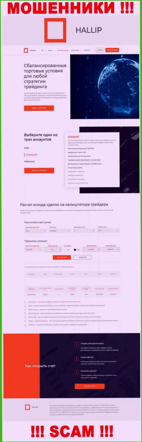 Вот так выглядит официальное лицо internet аферистов Hallip