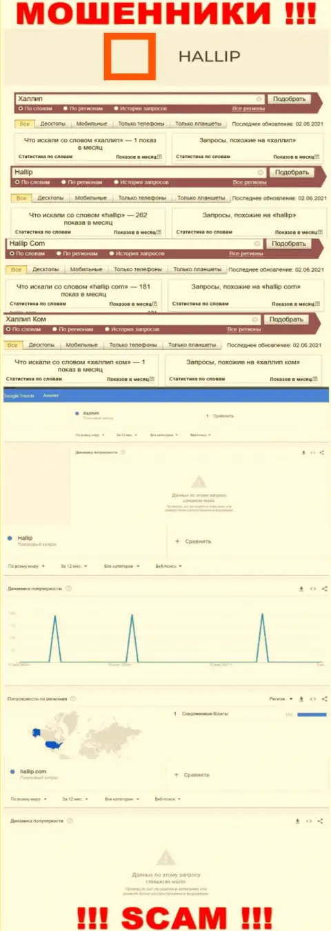 Статистические сведения о запросах по бренду мошенников Hallip Com