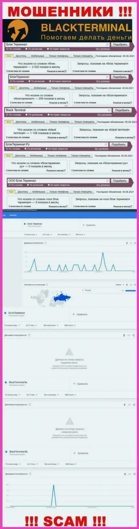 Число online запросов информации о мошенниках BlackTerminal Ru в сети
