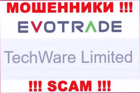 Юр лицом ТечВаре Лтд является - TechWare Limited