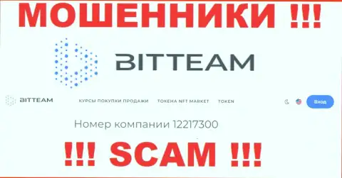 Рег. номер, который принадлежит конторе Бит Теам - 12217300