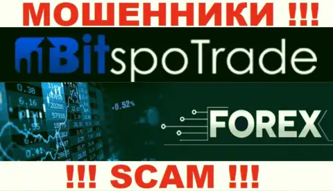 ФОРЕКС - это то, чем занимаются мошенники BitSpoTrade