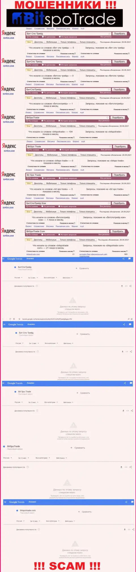 Показатели онлайн-запросов по бренду мошенников Bit Spo Trade