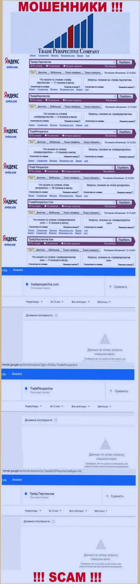 Инфа о брендовых запросах в отношении интернет-мошенников Trade Perspective