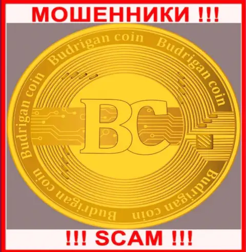 BudriganTrade - это МОШЕННИКИ !!! Связываться довольно опасно !!!