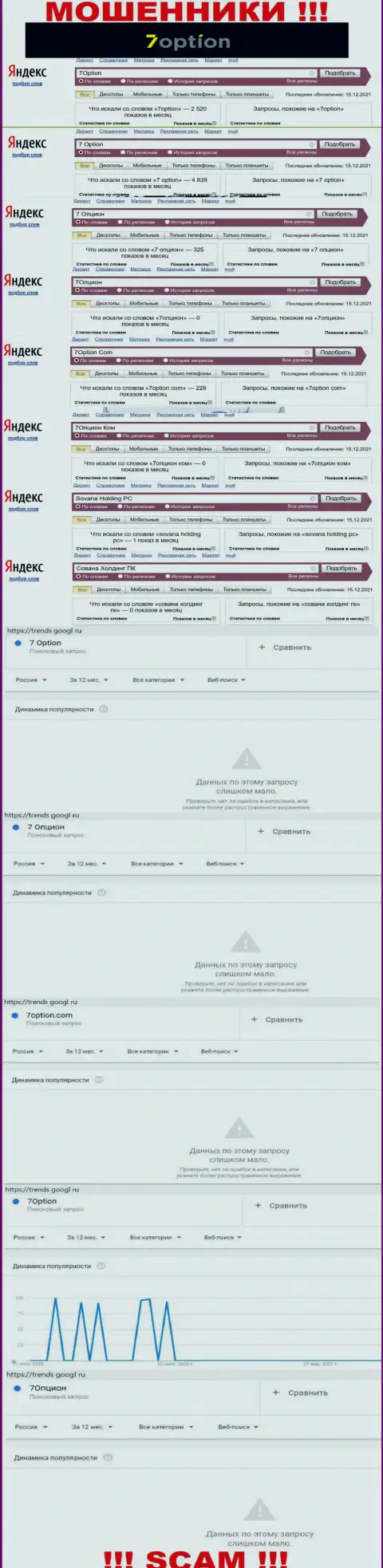 Статистика количества просмотров сведений о лохотронщиках 7 Option в internet сети