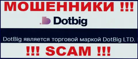 Dot Big - юридическое лицо мошенников компания DotBig LTD