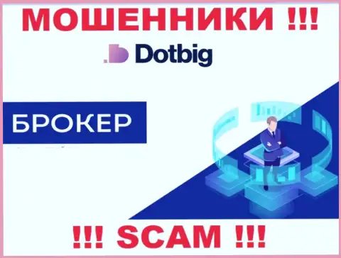 DotBig - это ВОРЮГИ, направление деятельности которых - Брокер