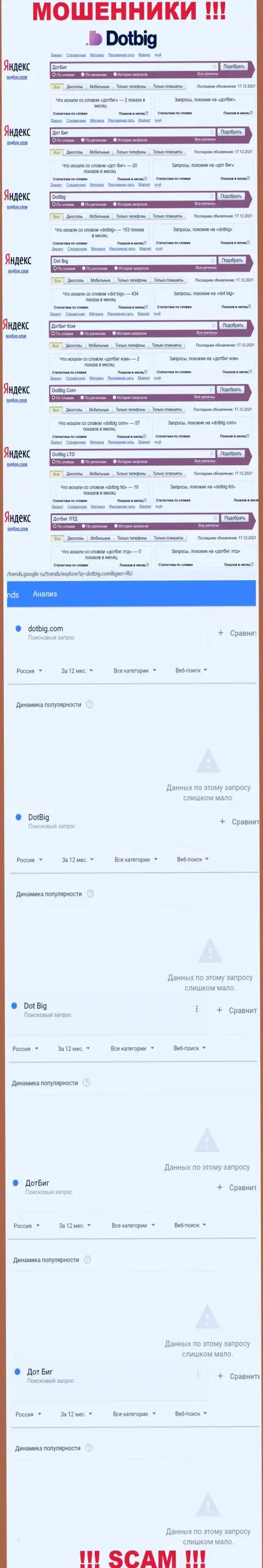 Информация о брендовых онлайн запросах в отношении мошенников DotBig