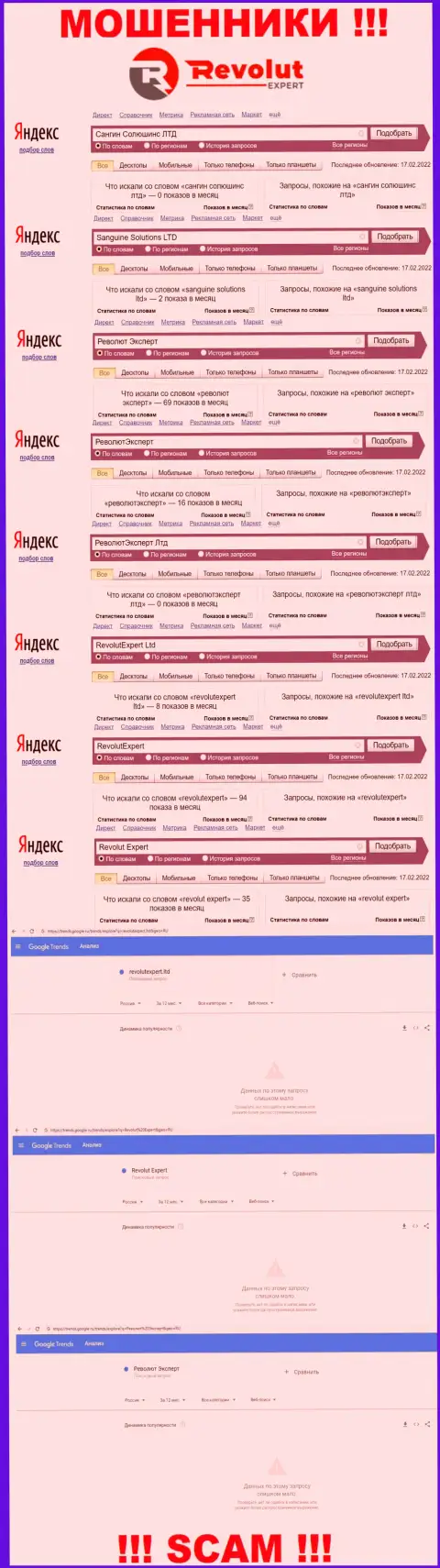 Статистические данные о online запросах по бренду мошенников Револют Эксперт