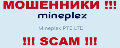 Руководителями МинеПлекс ПТЕ ЛТД является организация - Mineplex PTE LTD