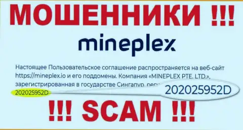 Номер регистрации очередной незаконно действующей организации MinePlex - 202025952D