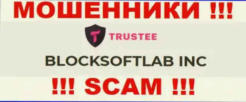 Trustee Wallet это МОШЕННИКИ !!! Руководит данным лохотроном BLOCKSOFTLAB INC