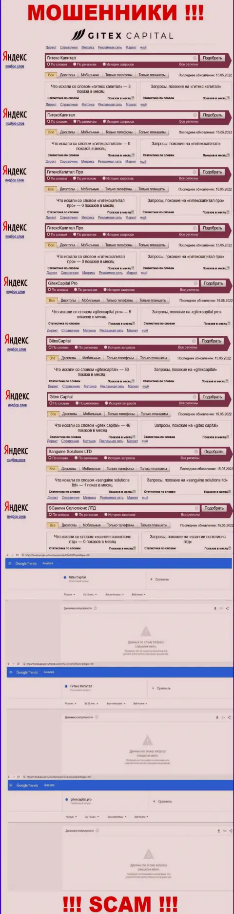 Статистика брендовых запросов по преступно действующей компании Gitex Capital