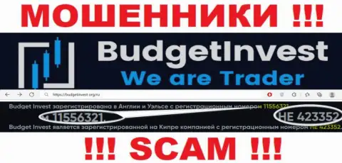 Регистрационный номер организации Budget Invest - HE 423352