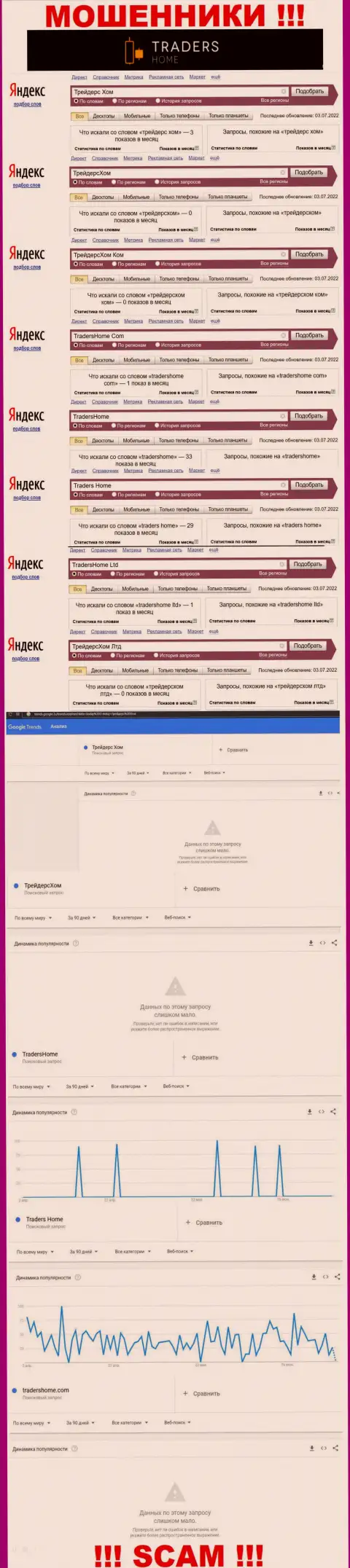 Как часто интересовались мошенниками TradersHome в поисковиках глобальной сети ?