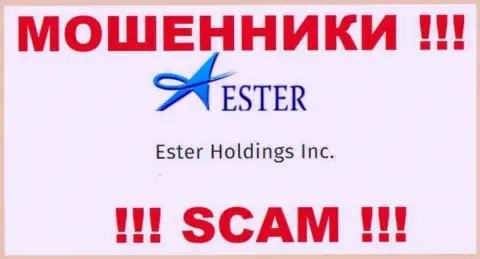 Данные о юридическом лице интернет-аферистов Ester Holdings