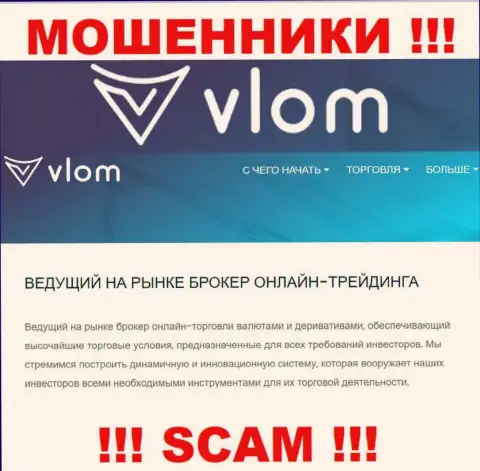 Тип деятельности противозаконно действующей организации Влом Лтд - Broker