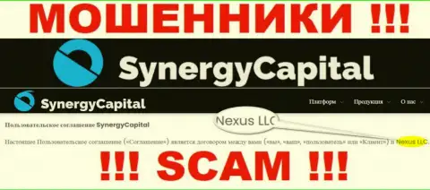 Юридическое лицо, владеющее кидалами SynergyCapital Top - это Нексус ЛЛК