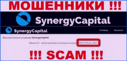 Регистрационный номер организации Synergy Capital - REG 1070 LLC 2021