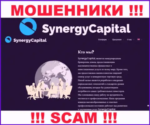 Что касается направления деятельности Synergy Capital (Брокер) это 100 % разводняк