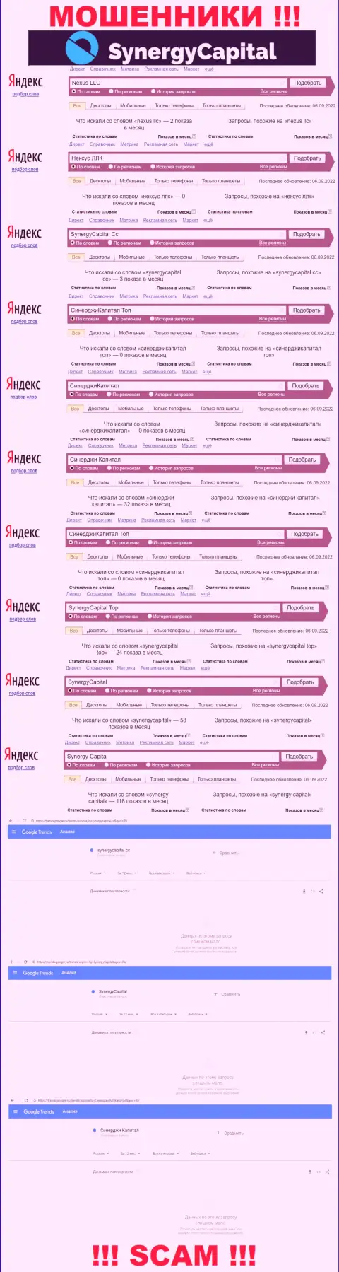 Статистика онлайн-запросов по бренду Synergy Capital в сети internet