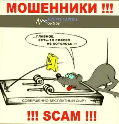 Аферисты ProfitCapitalGroup пообещали совместное сотрудничество без рисков ? НЕ ВЕДИТЕСЬ