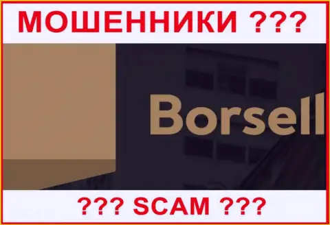 Borsell - это МОШЕННИКИ ! SCAM !!!