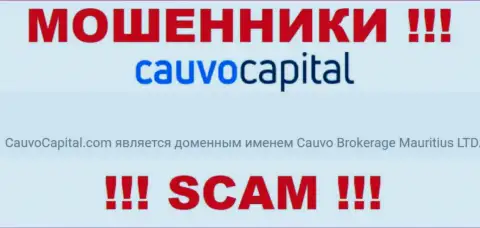 Мошенники CauvoCapital Com принадлежат юридическому лицу - Cauvo Brokerage Mauritius LTD