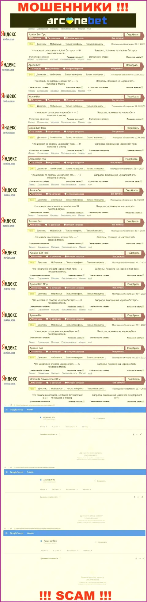 Статистические данные онлайн-запросов по бренду АрканеБет Про в интернете