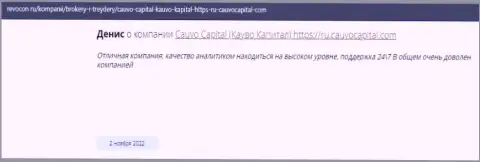 Брокерская компания CauvoCapital Com представлена в отзыве на сайте Revocon Ru