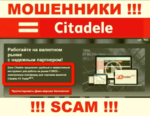 Область деятельности жульнической организации Citadele - это Форекс