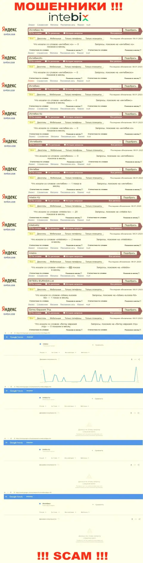 Статистика бренда IntebixKz, какое именно количество запросов у данной шарашки