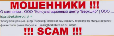 Консультационный центр Беркшир - это РАЗВОДИЛЫ !!! SCAM !!!