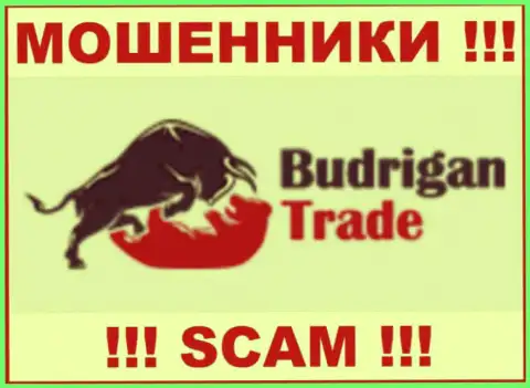 Будриган Трейд - это МОШЕННИКИ ! SCAM !!!